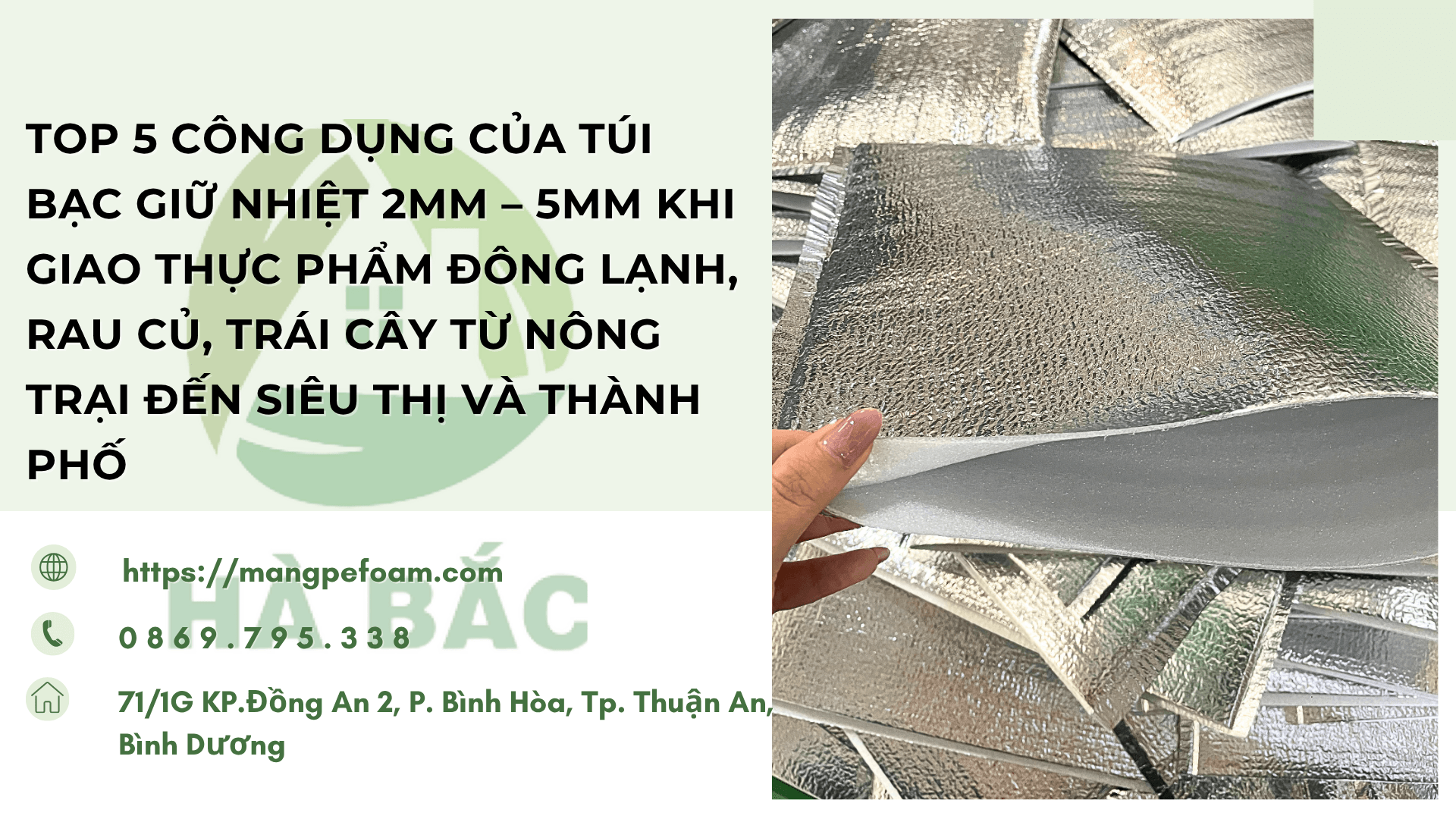 Top 5 Công Dụng Của Túi Bạc Giữ Nhiệt 2mm – 5mm Khi Giao Thực Phẩm Đông Lạnh, Rau Củ, Trái Cây Từ Nông Trại Đến Siêu Thị Và Thành Phố