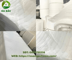 mang-xop-pe-lot-trai-cay-xuat-khau-tai-binh-dinh