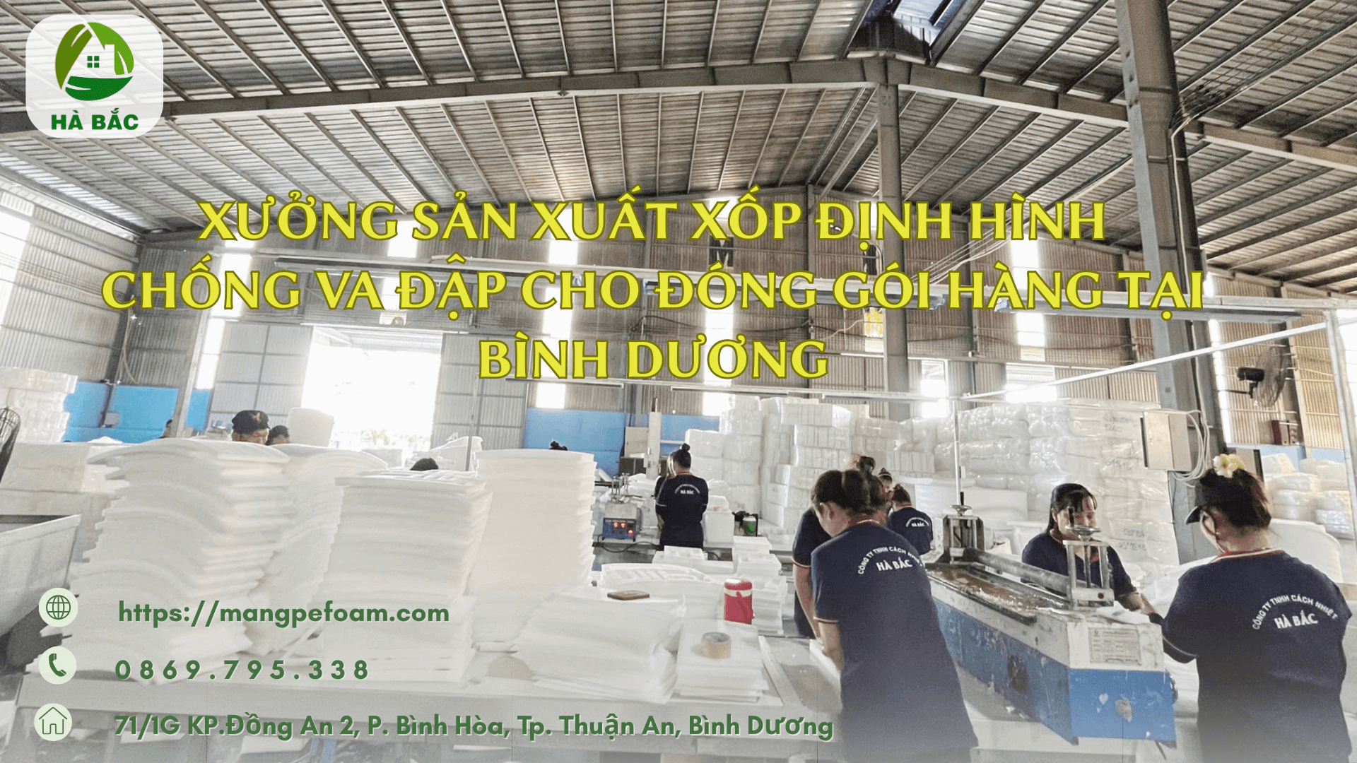 Xưởng Sản Xuất Xốp Định Hình Chống Va Đập Cho Đóng Gói Hàng Tại Bình Dương