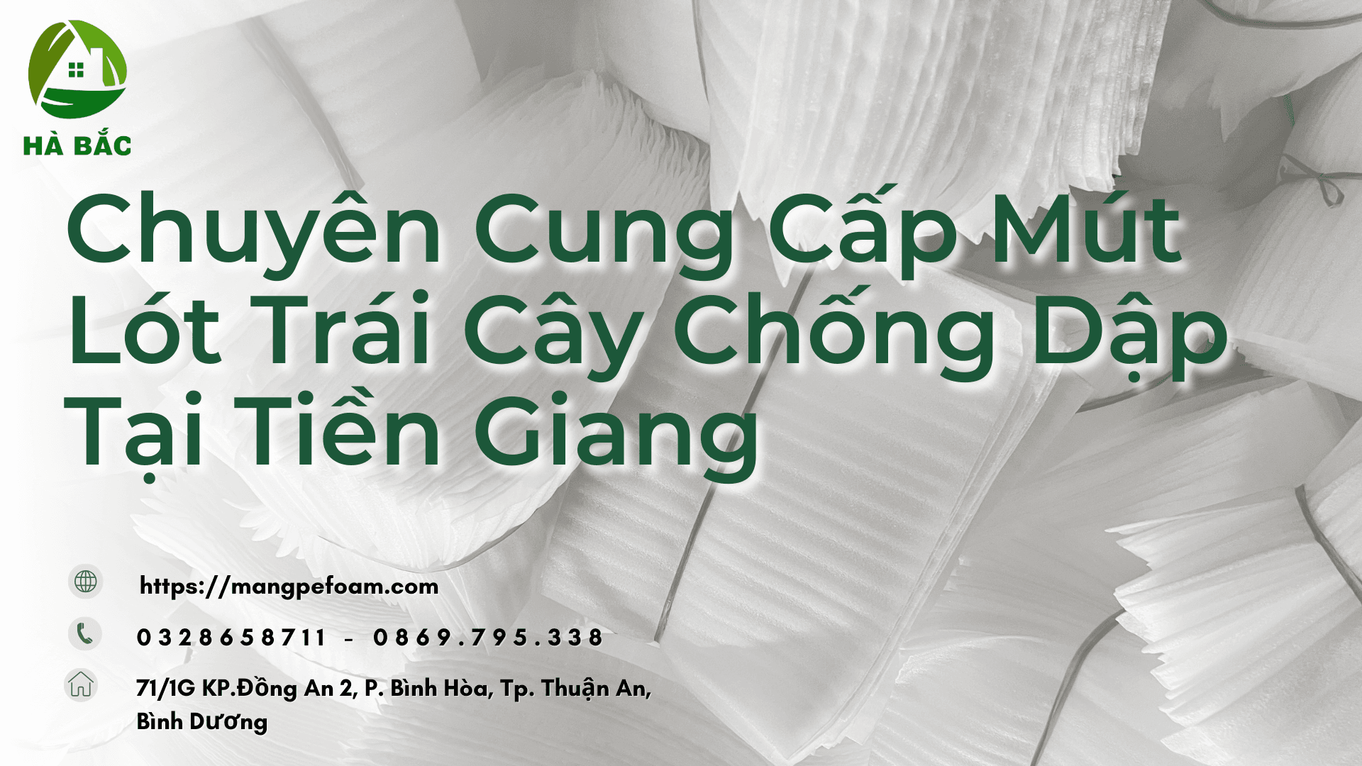 Chuyên Cung Cấp Mút Lót Trái Cây Chống Dập Tại Tiền Giang – Cắt Theo Yêu Cầu, Số Lượng Lớn