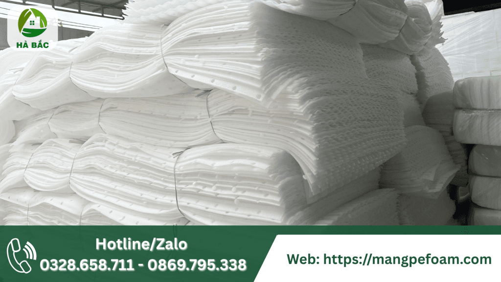 Mút Lót Trái Cây