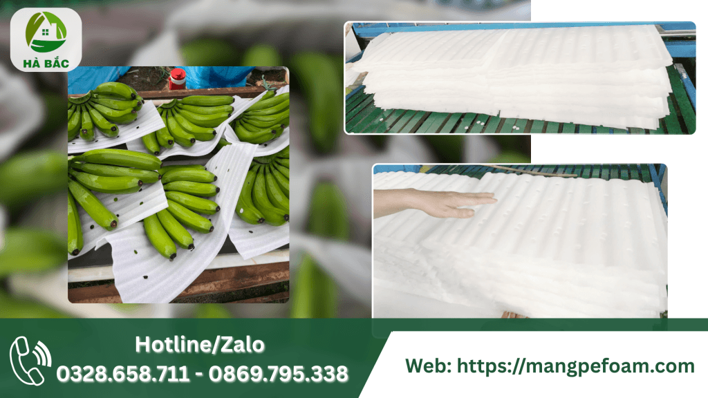 Mút Lót Trái Cây