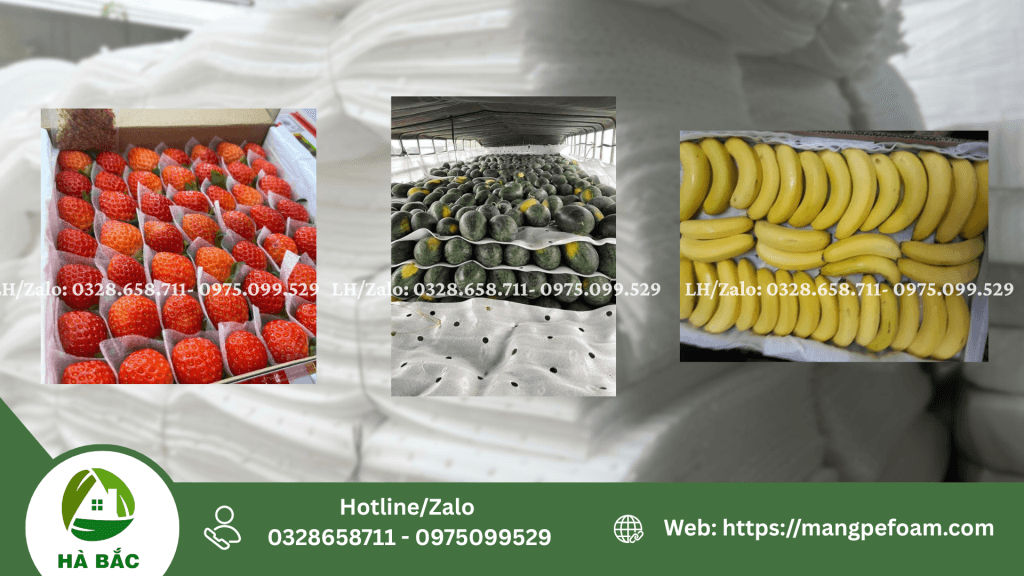 tấm mút xốp lót chuối tại Trảng Bom