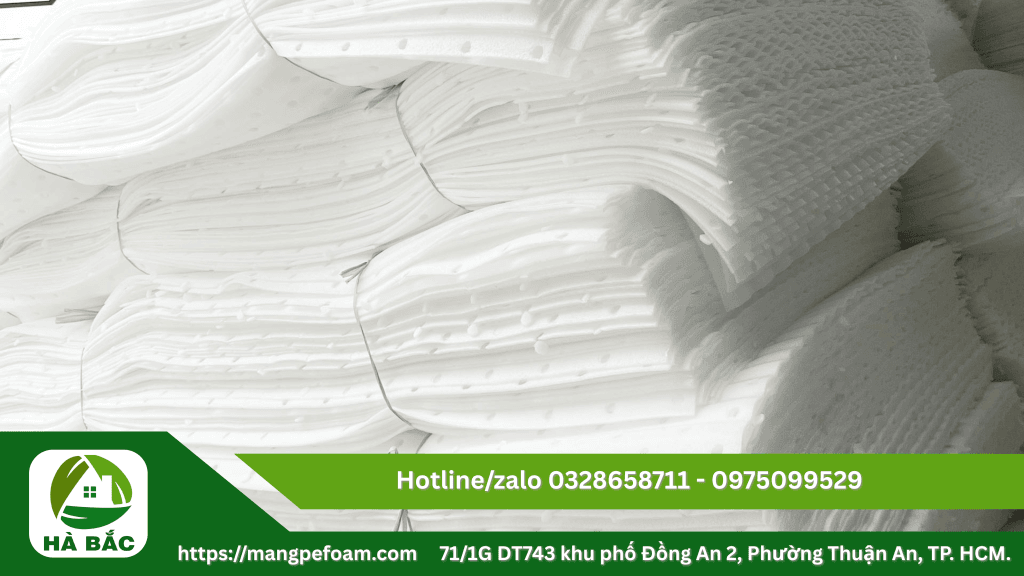 Cung cấp tấm mút xốp lót dưa có đục lỗ tại Long An