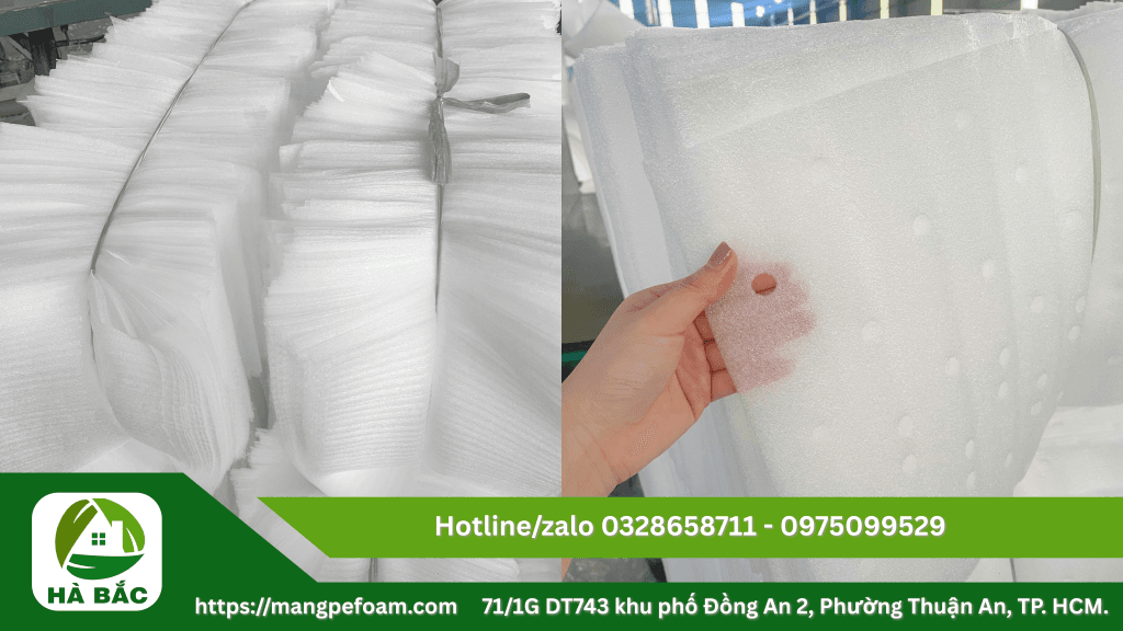 Cung cấp tấm mút xốp lót dưa có đục lỗ tại Long An