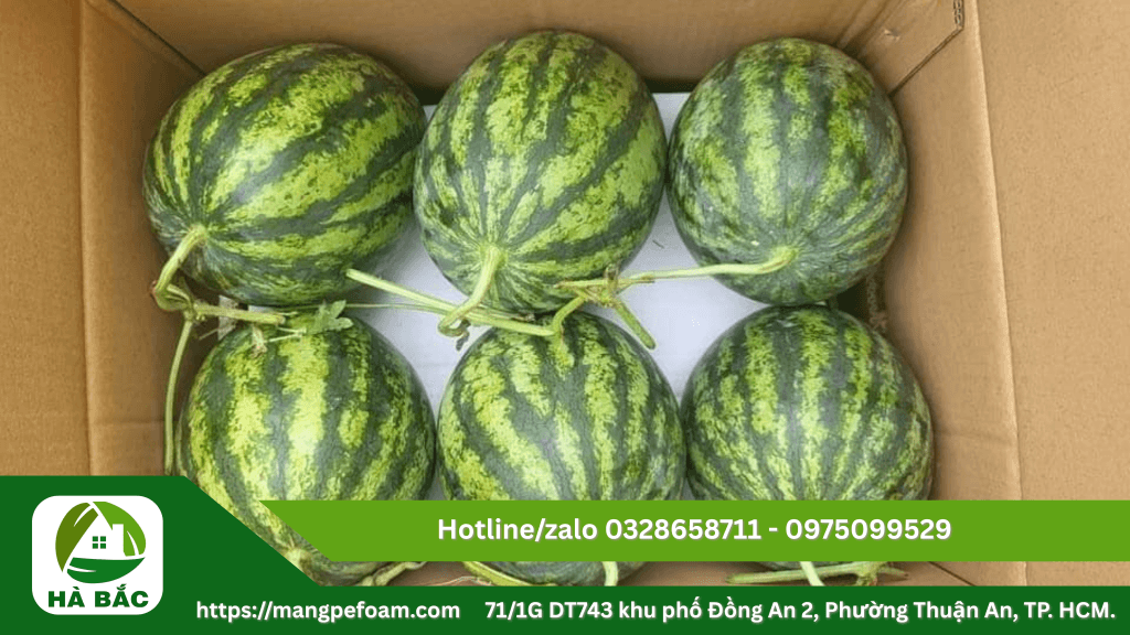 Cung cấp tấm mút xốp lót dưa có đục lỗ tại Long An