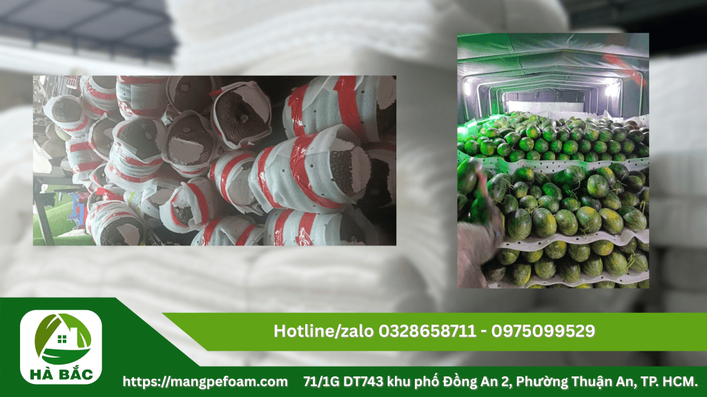 Cung cấp tấm mút xốp lót dưa có đục lỗ tại Long An