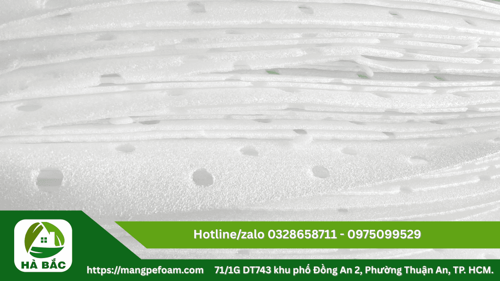 Cung cấp tấm mút xốp lót dưa có đục lỗ tại Long An
