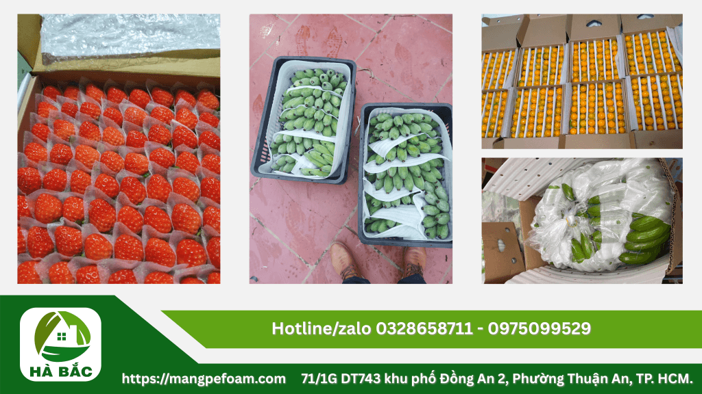 Cung cấp tấm mút xốp lót dưa có đục lỗ tại Long An