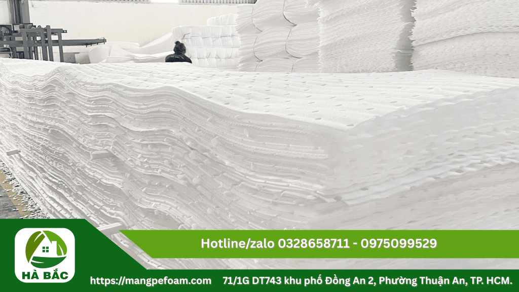 Tấm xốp foam lót trái cây chống dập tại Bình Định