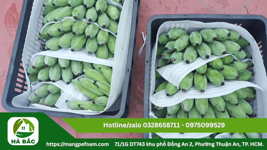 Tấm xốp foam lót trái cây chống dập tại Bình Định