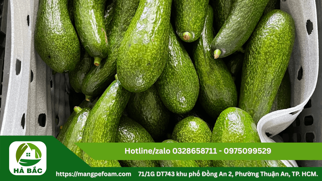 Tấm xốp foam lót trái cây chống dập tại Bình Định