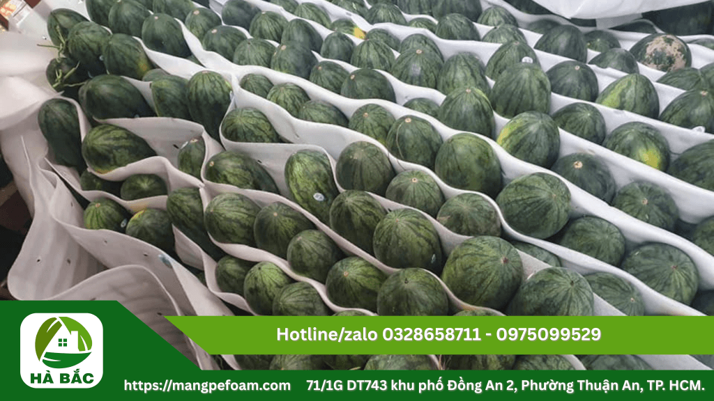 Tấm xốp foam lót trái cây chống dập tại Bình Định