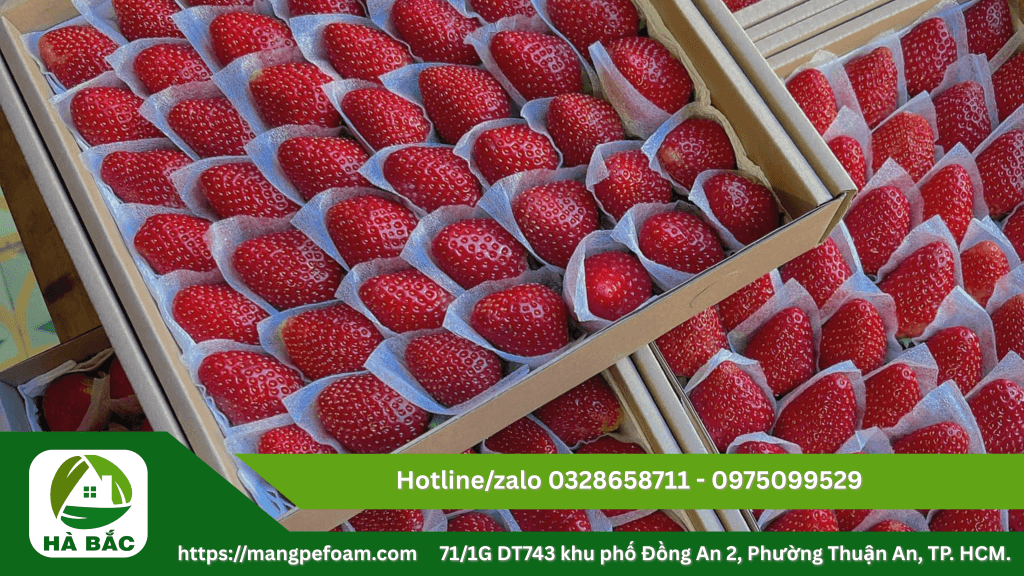 Tấm xốp foam lót trái cây chống dập tại Bình Định