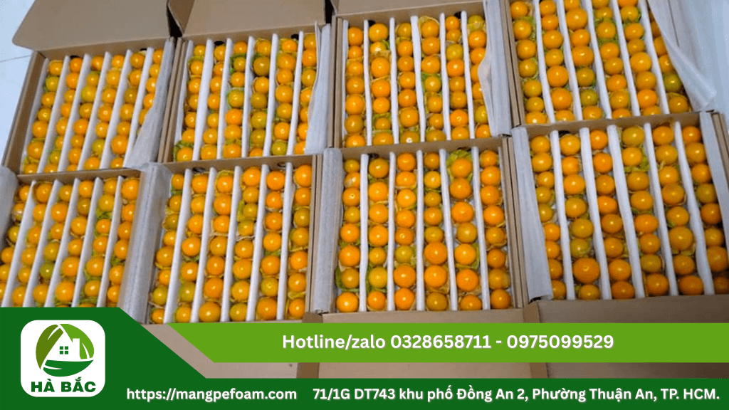 Tấm xốp foam lót trái cây chống dập tại Bình Định