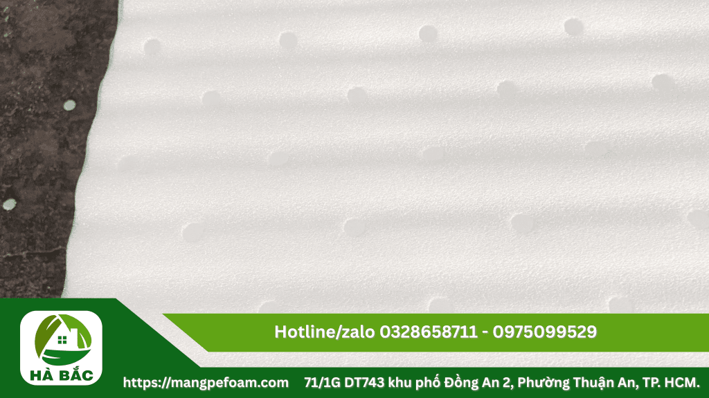 Tấm xốp foam lót trái cây chống dập tại Bình Định