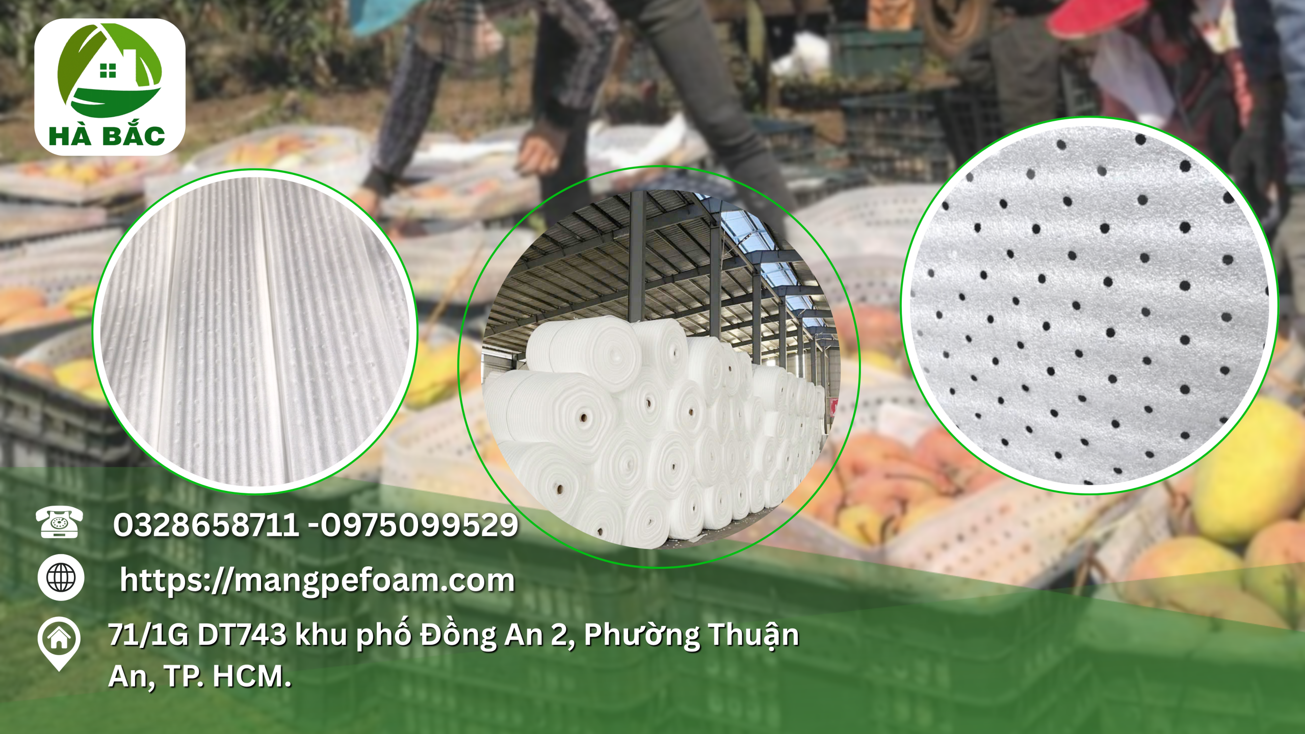 Cơ Sở Sản Xuất Tấm Xốp Lót Xoài Đục Lỗ Giúp Bảo Vệ Nông Sản Khi Vận Chuyển Tại Đồng Tháp
