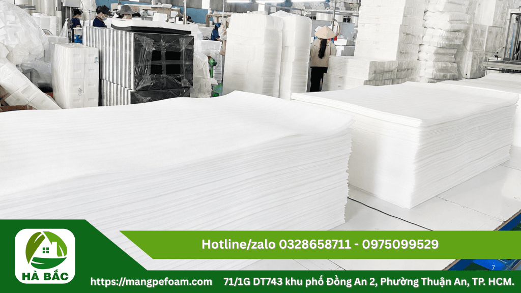 Mút trắng dày 1 phân