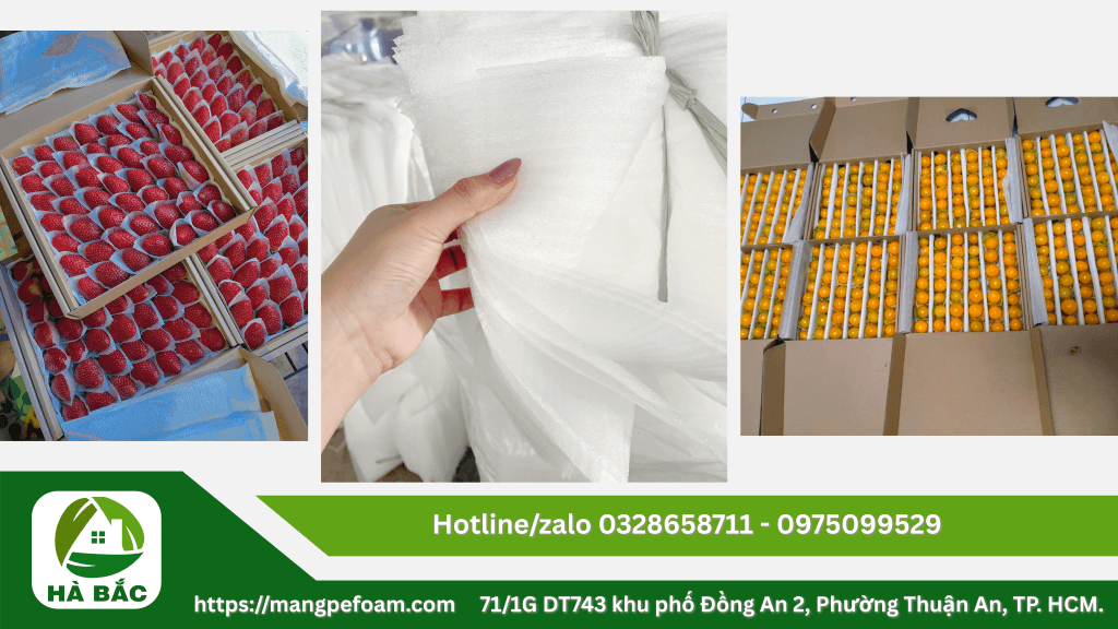 Tấm xốp lót chuối xoài dưa