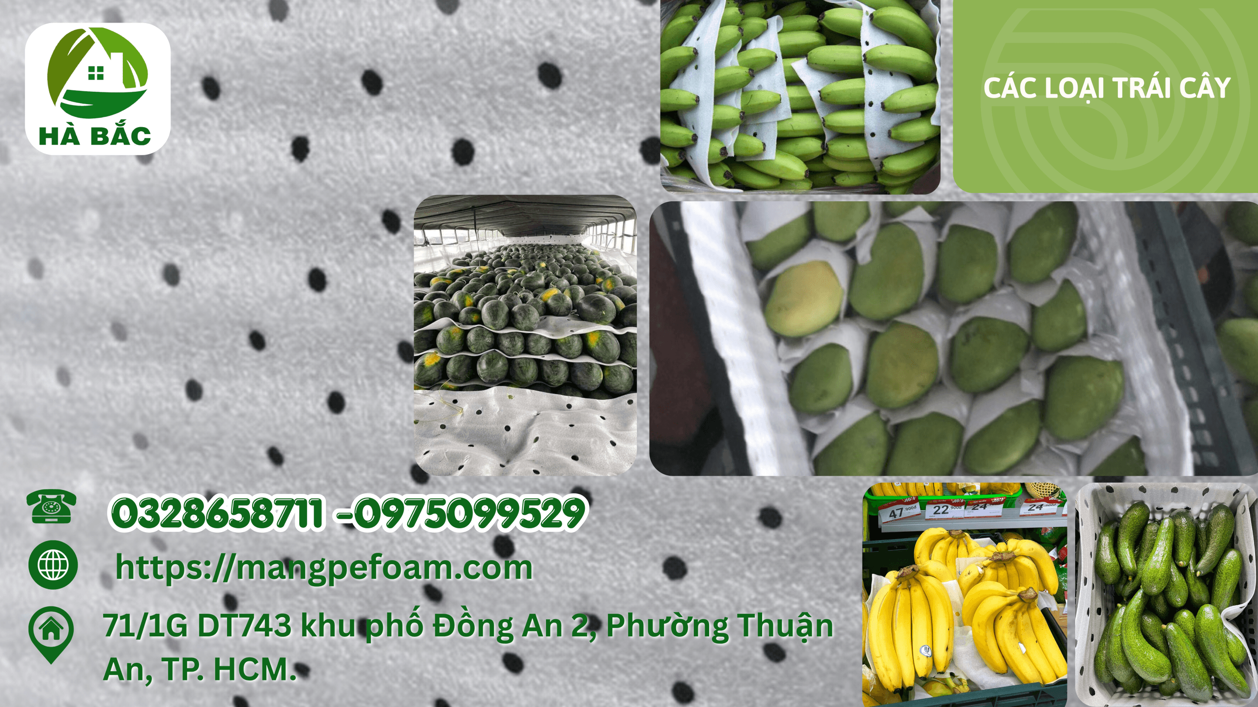 Công Dụng Của Tấm Xốp Lót Chuối Xoài Dưa Tại Long An Giúp Chống Dập Khi Vận Chuyển Trái Cây