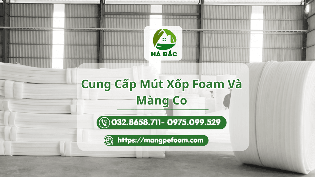 Mút xốp foam và màng co