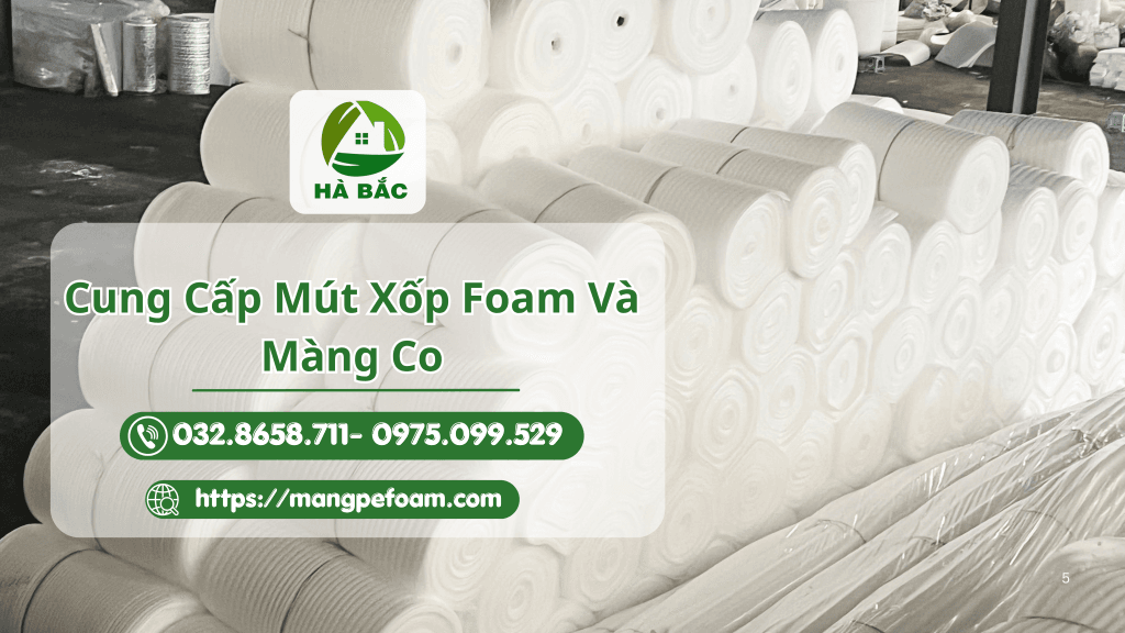 Mút xốp foam và màng co
